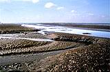 Wattenmeer
